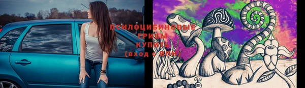 трава Новодвинск