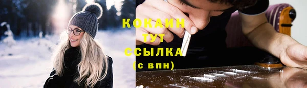 индика Ивангород