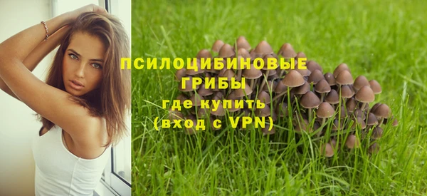 твердый Новокубанск
