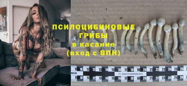 индика Ивангород