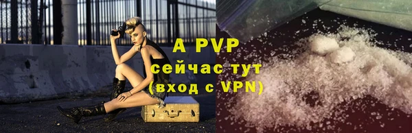 таблы Новозыбков