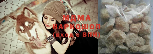 индика Ивангород