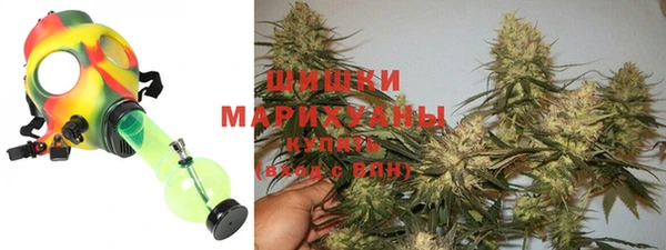 таблы Новозыбков